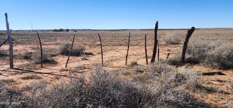 Tiny photo for TBD ACR 5152 - 160 acres, Concho, AZ 85924 (MLS # 259391)