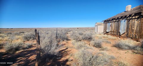 Tiny photo for TBD ACR 5152 - 160 acres, Concho, AZ 85924 (MLS # 259391)