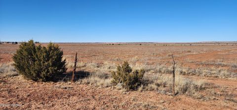 Tiny photo for TBD ACR 5152 - 160 acres, Concho, AZ 85924 (MLS # 259391)