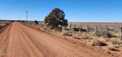 Tiny photo for TBD ACR 5152 - 160 acres, Concho, AZ 85924 (MLS # 259391)