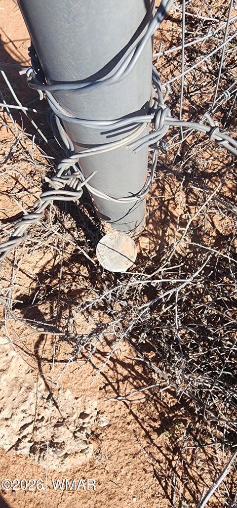 Tiny photo for TBD ACR 5152 - 160 acres, Concho, AZ 85924 (MLS # 259391)