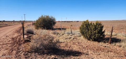 Tiny photo for TBD ACR 5152 - 160 acres, Concho, AZ 85924 (MLS # 259391)