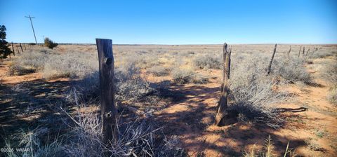 Tiny photo for TBD ACR 5152 - 160 acres, Concho, AZ 85924 (MLS # 259391)