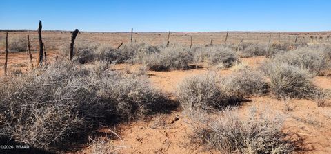 Tiny photo for TBD ACR 5152 - 160 acres, Concho, AZ 85924 (MLS # 259391)
