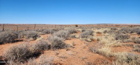 Tiny photo for TBD ACR 5152 - 160 acres, Concho, AZ 85924 (MLS # 259391)
