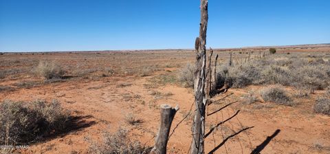 Photo of TBD ACR 5152 - 160 acres, Concho, AZ 85924 (MLS # 259391)