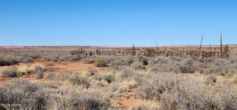 Tiny photo for TBD ACR 5152 - 160 acres, Concho, AZ 85924 (MLS # 259391)