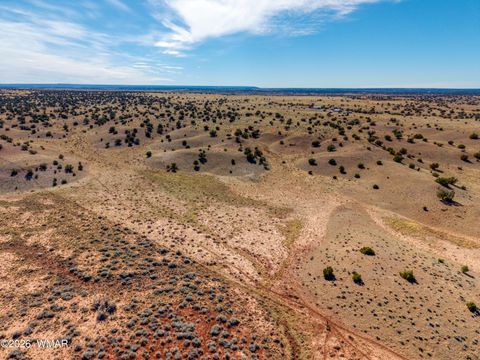 Tiny photo for 391 N9030, Concho, AZ 85924 (MLS # 259942)