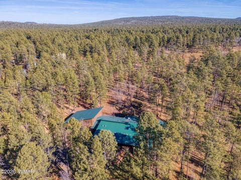 Tiny photo for 535 E Woodland Lake Road, Pinetop, AZ 85935 (MLS # 261253)