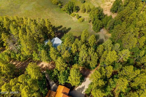 Tiny photo for 1814 E Elk Lane, Pinetop, AZ 85935 (MLS # 258373)