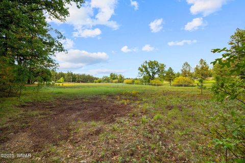 Tiny photo for 1814 E Elk Lane, Pinetop, AZ 85935 (MLS # 258373)
