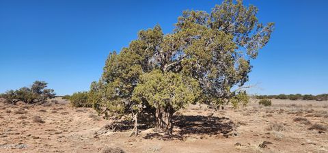 Tiny photo for 5137 Encanto Road, Snowflake, AZ 85937 (MLS # 255672)