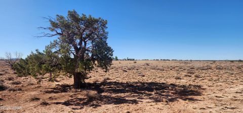 Tiny photo for 5137 Encanto Road, Snowflake, AZ 85937 (MLS # 255672)