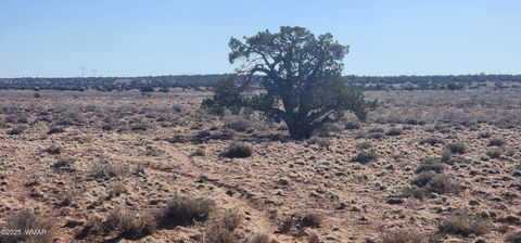 Tiny photo for 5137 Encanto Road, Snowflake, AZ 85937 (MLS # 255672)