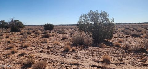 Tiny photo for 5137 Encanto Road, Snowflake, AZ 85937 (MLS # 255672)