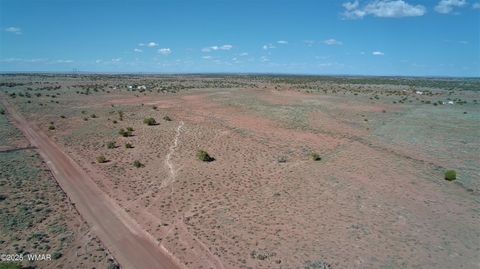 Photo of 5137 Encanto Road, Snowflake, AZ 85937 (MLS # 255672)