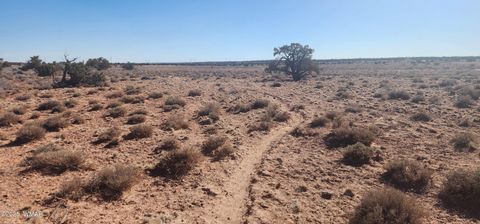 Tiny photo for 5137 Encanto Road, Snowflake, AZ 85937 (MLS # 255672)