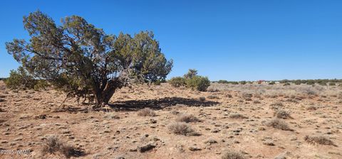 Tiny photo for 5137 Encanto Road, Snowflake, AZ 85937 (MLS # 255672)