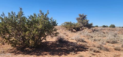 Tiny photo for 5137 Encanto Road, Snowflake, AZ 85937 (MLS # 255672)