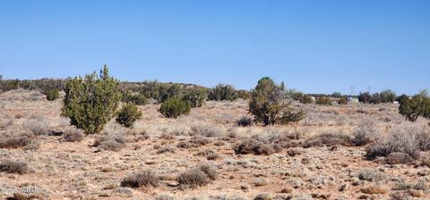 Tiny photo for 5137 Encanto Road, Snowflake, AZ 85937 (MLS # 255672)