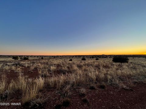 Tiny photo for 5175 Old Woodruff Road, Snowflake, AZ 85937 (MLS # 256525)