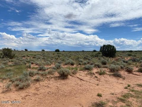 Tiny photo for 5175 Old Woodruff Road, Snowflake, AZ 85937 (MLS # 256525)