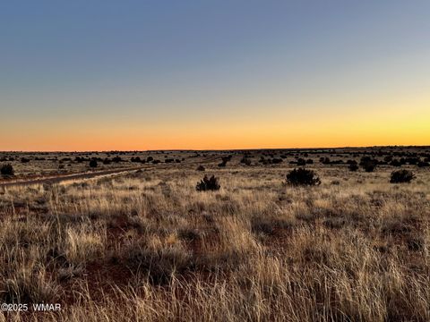 Tiny photo for 5175 Old Woodruff Road, Snowflake, AZ 85937 (MLS # 256525)