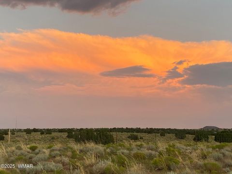 Tiny photo for 5175 Old Woodruff Road, Snowflake, AZ 85937 (MLS # 256525)