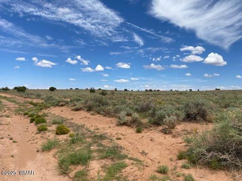 Tiny photo for 5175 Old Woodruff Road, Snowflake, AZ 85937 (MLS # 256525)
