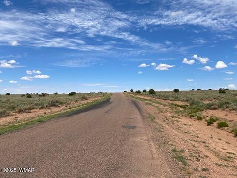 Tiny photo for 5175 Old Woodruff Road, Snowflake, AZ 85937 (MLS # 256525)