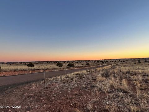 Tiny photo for 5175 Old Woodruff Road, Snowflake, AZ 85937 (MLS # 256525)