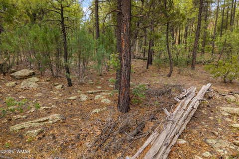 Tiny photo for 3251 W Sage Lane, Show Low, AZ 85901 (MLS # 262578)