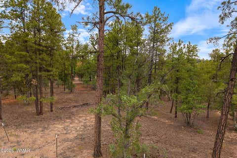 Tiny photo for 3251 W Sage Lane, Show Low, AZ 85901 (MLS # 262578)