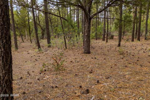 Tiny photo for 3251 W Sage Lane, Show Low, AZ 85901 (MLS # 262578)