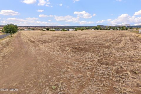 Tiny photo for 068B Becker Ln, Springerville, AZ 85938 (MLS # 258134)