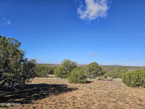 Photo of TBD Chevelon Acres, Heber, AZ 85928 (MLS # 258851)