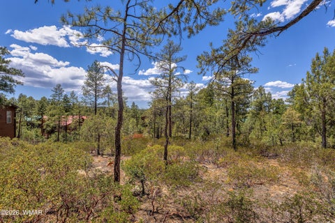 Tiny photo for Show Low, AZ 85901 (MLS # 261717)