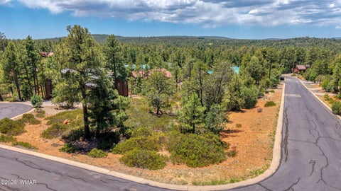 Tiny photo for Show Low, AZ 85901 (MLS # 261717)