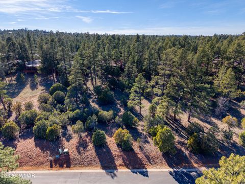 Photo of 1220 S Lakeside Trail, Show Low, AZ 85901 (MLS # 260092)