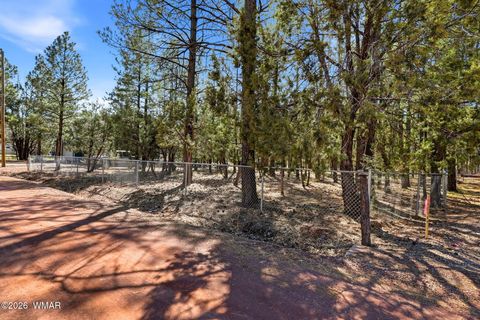 Photo of 4217 Mohave Drive, Lakeside, AZ 85929 (MLS # 259828)