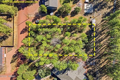 Tiny photo for 4217 Mohave Drive, Lakeside, AZ 85929 (MLS # 259828)