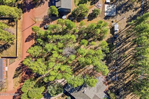 Tiny photo for 4217 Mohave Drive, Lakeside, AZ 85929 (MLS # 259828)