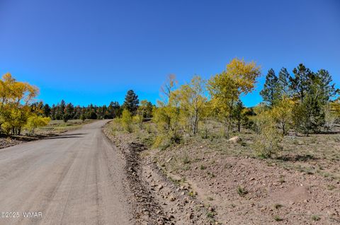 Tiny photo for 685 Kuhn Road, Pinedale, AZ 85934 (MLS # 258520)