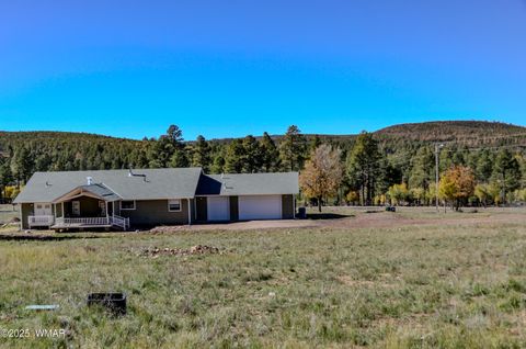 Photo of 685 Kuhn Road, Pinedale, AZ 85934 (MLS # 258520)
