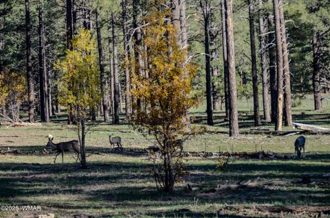 Tiny photo for 685 Kuhn Road, Pinedale, AZ 85934 (MLS # 258520)