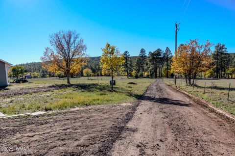 Tiny photo for 685 Kuhn Road, Pinedale, AZ 85934 (MLS # 258520)