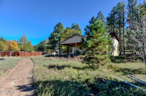 Tiny photo for 685 Kuhn Road, Pinedale, AZ 85934 (MLS # 258520)