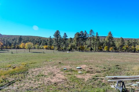 Tiny photo for 685 Kuhn Road, Pinedale, AZ 85934 (MLS # 258520)