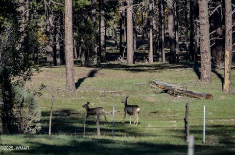 Tiny photo for 685 Kuhn Road, Pinedale, AZ 85934 (MLS # 258520)