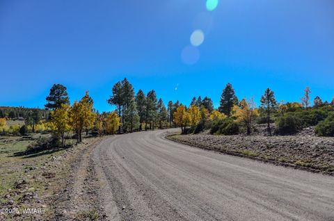 Tiny photo for 685 Kuhn Road, Pinedale, AZ 85934 (MLS # 258520)